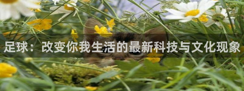 米兰体育网站