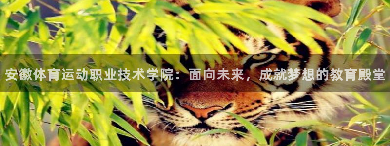 米兰体育怎么样