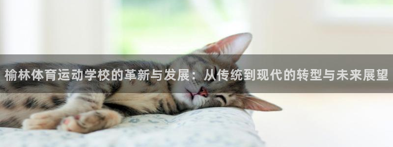 米兰体育下载官网最新版
