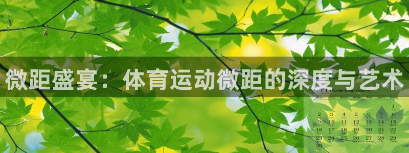 米兰体育网页版登录