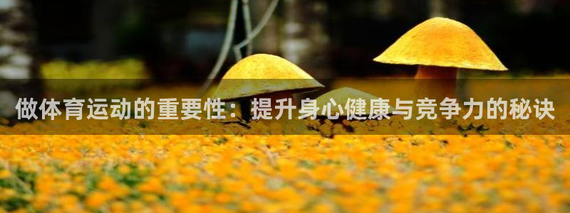 米兰体育下载