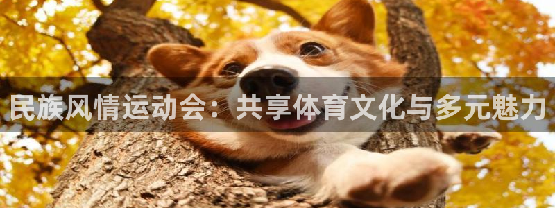 米兰体育最新版下载