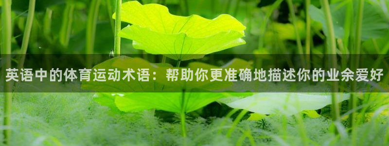 米兰体育综合官网