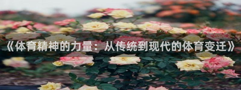 米兰体育报官网